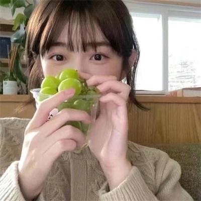 棕榈树森林