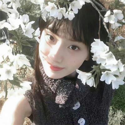 野性哥伦比亚
